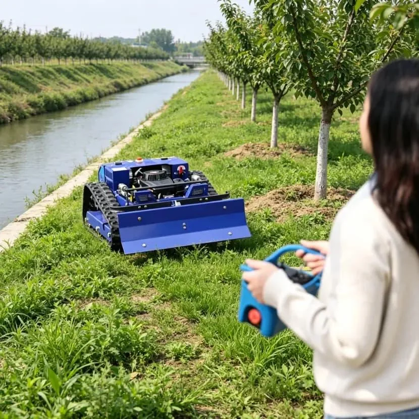 Operator guiding a blue tracked remote control mower in an orchard